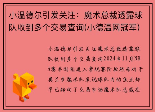 小温德尔引发关注：魔术总裁透露球队收到多个交易查询(小德温网冠军)