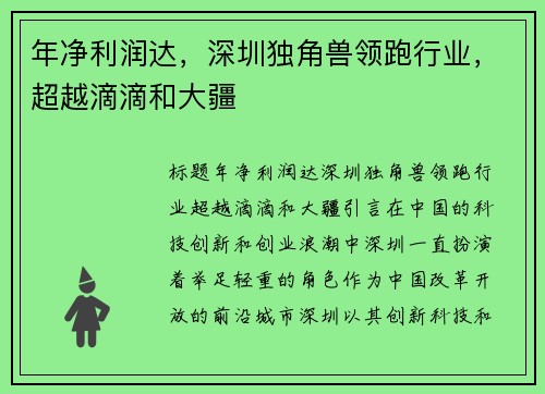 年净利润达，深圳独角兽领跑行业，超越滴滴和大疆