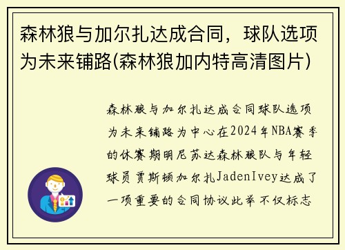 森林狼与加尔扎达成合同，球队选项为未来铺路(森林狼加内特高清图片)