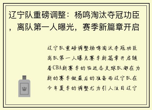 辽宁队重磅调整：杨鸣淘汰夺冠功臣，离队第一人曝光，赛季新篇章开启